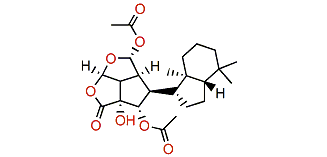 Chromodorolide C